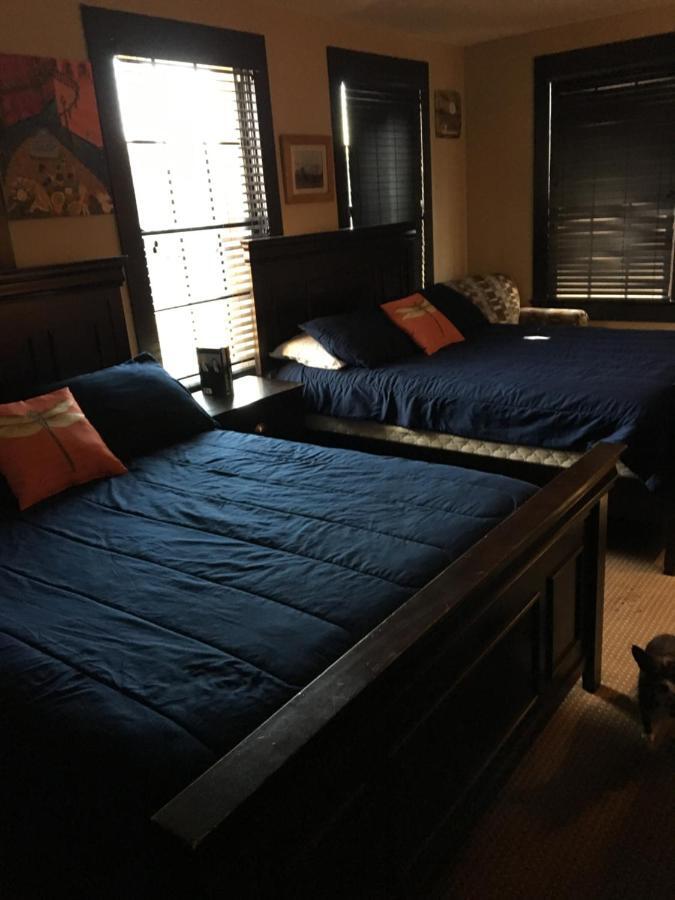 Mamou Hotel Cazan מראה חיצוני תמונה